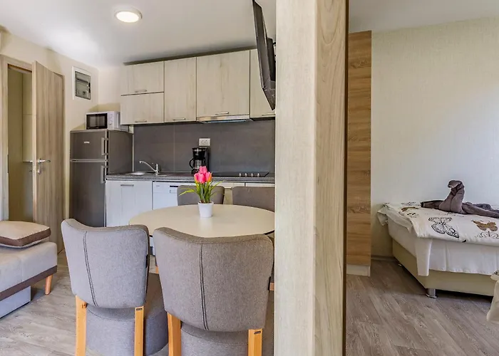 Hébergement de vacances Mobile Luxury Premium-2 By Interhome